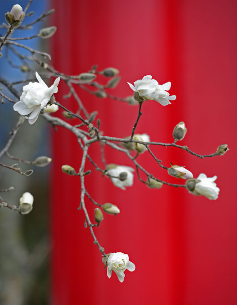 Signs of Spring